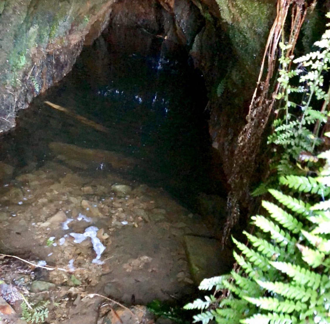 southern cross mine lower adit entry showing water